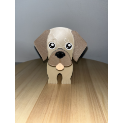 repose lunette chien labrador