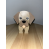 repose lunette chien labrador