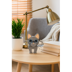 repose lunette chat